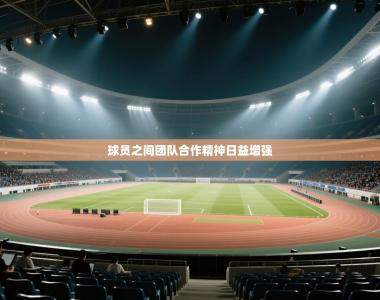 球员之间团队合作精神日益增强