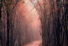 欧罗巴杯半决赛，英格兰队再胜意大利