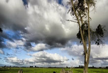 克罗地亚岛国勇夺前程，扬名锦标香凤