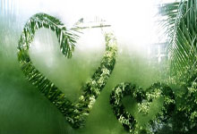 蒙彼利埃主场战胜里昂，取得胜利