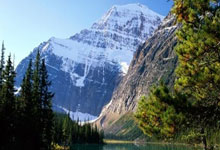 蒙彼利埃主场战胜里昂，取得胜利