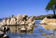 蒙彼利埃主场战胜里昂，取得胜利