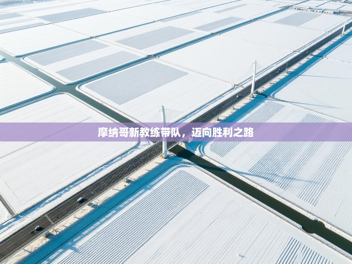 摩纳哥新教练带队，迈向胜利之路  第2张